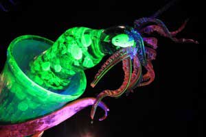 Glass Sculptures of Plankton