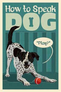 How_To_Speak_Dog_Play