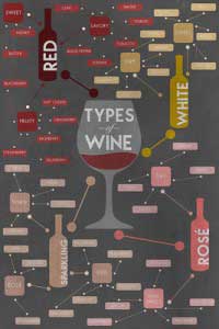 Lantern_Press_Image_-_Types_of_Wine