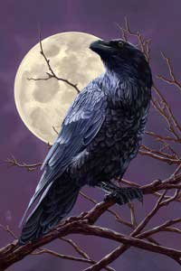 Raven_and_Moon_Purple_Sky