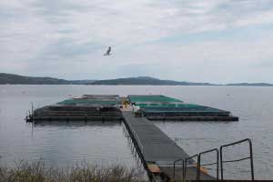 commercial fish farms in Great Lakes