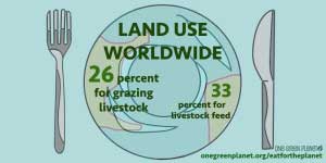 land_use_worldwide_for_livestock