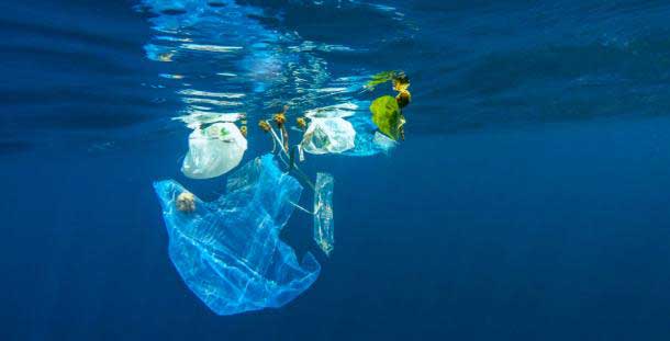collecting_plastic_bags_in_the_ocean
